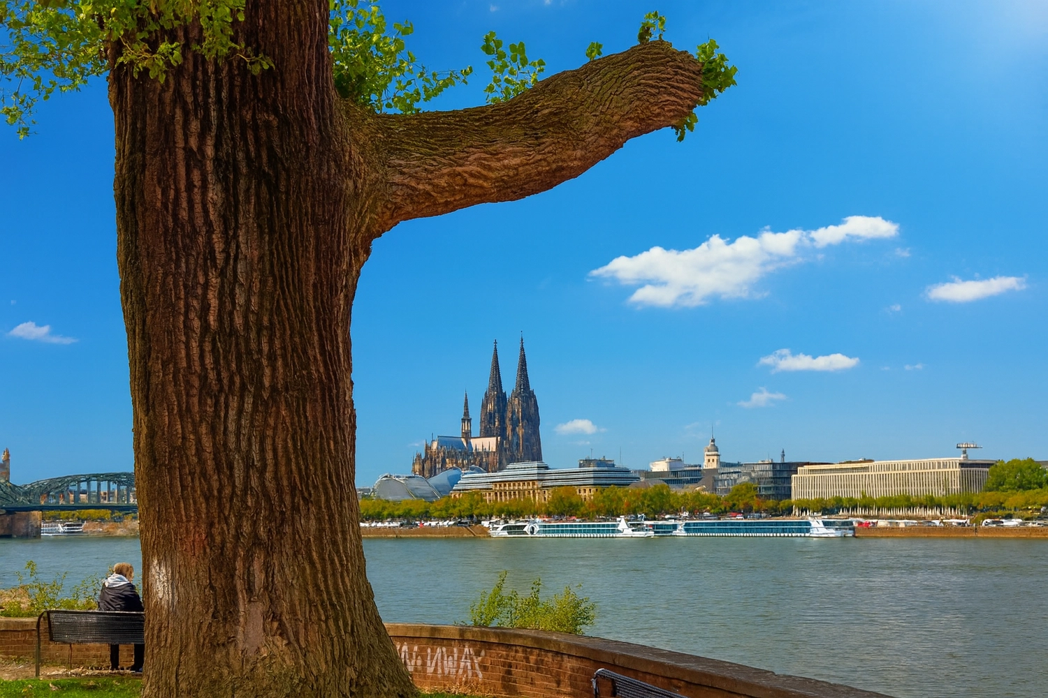 Candidus UG – Häuslicher Krankenpflege – das Stadtbild von Köln, Deutschland, mit dem berühmten Kölner Dom am Rhein.